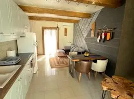 modern rustic house