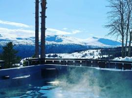 Countryside Cabin With Jacuzzi Near Stryn, hotel in Sølberg