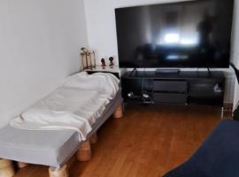Premium confort, ubytování v soukromí v Basileji