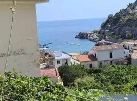 Paride's House