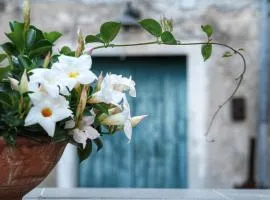CasaMia