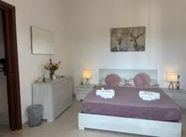 B&B IL TULIPANO