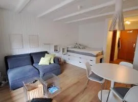 Le Flocon Studio in Ovronnaz close to the baths