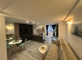 Studio apartment Bulevar