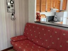 Appartement RDC avec petit jardin privatif