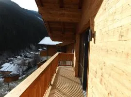 Modern chalet with sauna near ski area in Saalbach-Hinterglemm Salzburgerland