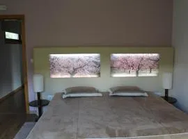 Apartamento Terra das Amendoeiras