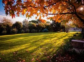 Amanecer en las Piedras