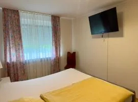 Ruhige Wohnung in Springe