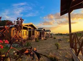 Satsumania Village