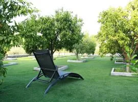 DOMUS ULIVI LUXURY ROOMS Moresca