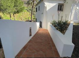 El bufon de la corte