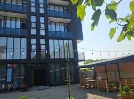 Noah's Apartment