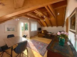 FaWa Apartments "Penthouse - Villa Toni"