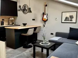 Central Ami suite & private parking