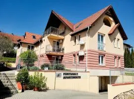 Apartments in Heviz - Balaton 49195