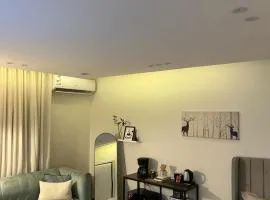 استديو أنيق بأثاث جميل وكلاسيك