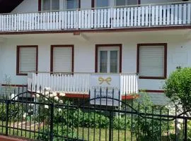Gold Ribbon Family House