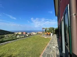 Vista e Verde
