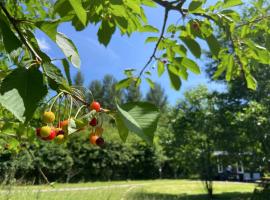 Bell Nook- Shepherd's hut with a spacious wood-fired hot tub, chalet in Tonbridge