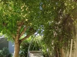 Bel appartement du centre ancien