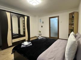 Central Studio、ピテシュティのホテル