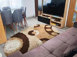 Casa Bianchi Vatra Dornei, villa em Vatra Dornei