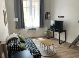 Appartement centre-ville