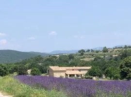 Mas du 18e siècle au calme entouré de champs de lavandes