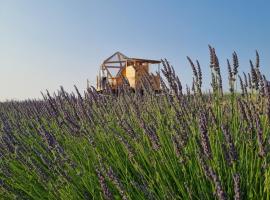 La bulle ico, Zelt-Lodge in Valensole