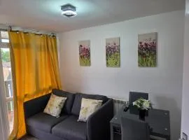 Harlow, Essex - One bedroom apartment with beautiful scenery