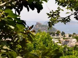Panorama Carmelina