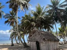 Iguana Island San Blas