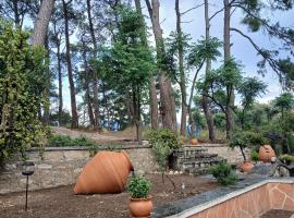 Melody cottage, Samos, cottage in Karlovasi