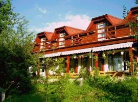 Pension Bran Ioana& SPA