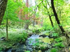 Charming cabin with private creek