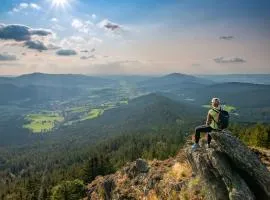 Apartment in Lam - Bayerischer Wald 50007