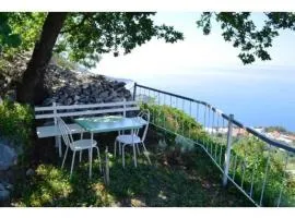 Apartment in Brela - Makarska Riviera 51814