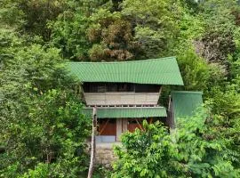 Finca La Selvita Chocolate experience