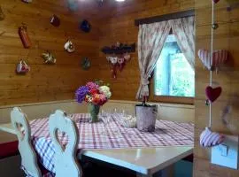 Chalet in Sestaione near Ski Slopes, cleaning included