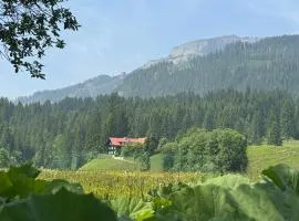 Walmendinger Haus