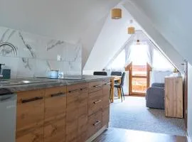 Noclegi Olszówka - Apartament I Studia