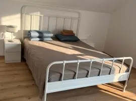 Apartma DUDI
