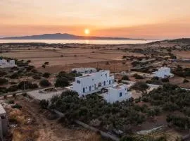 Dreamlike Studio Aurea Blu, nature, relaxation, pure