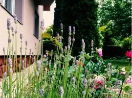 Lavender Apartment