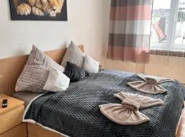 Apartment on Elbe bike path
