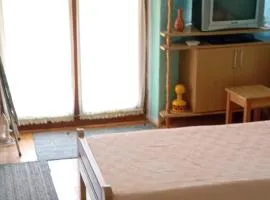 Apartman Kuršumlijska Banja