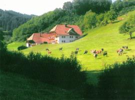 Comfortable holiday home in a beautiful location, hotel in Hofstetten