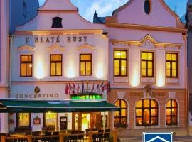 Hotel Concertino Zlatá Husa