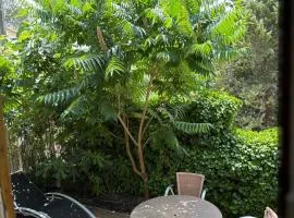 studio en provence verte